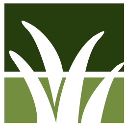 Yard Service Clean Up Pros