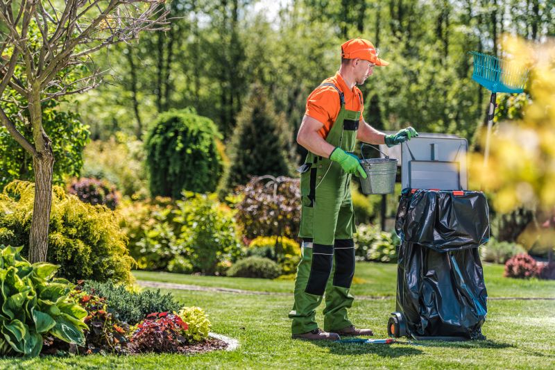 Yard Service Clean Up