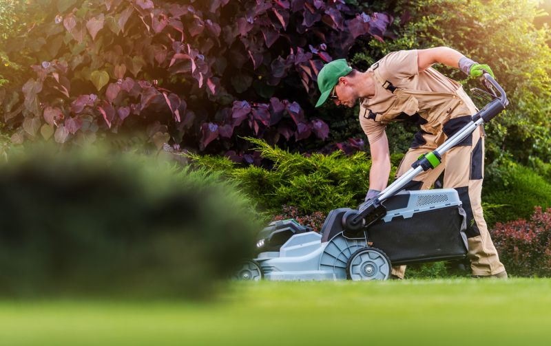 Yard Service Clean Up