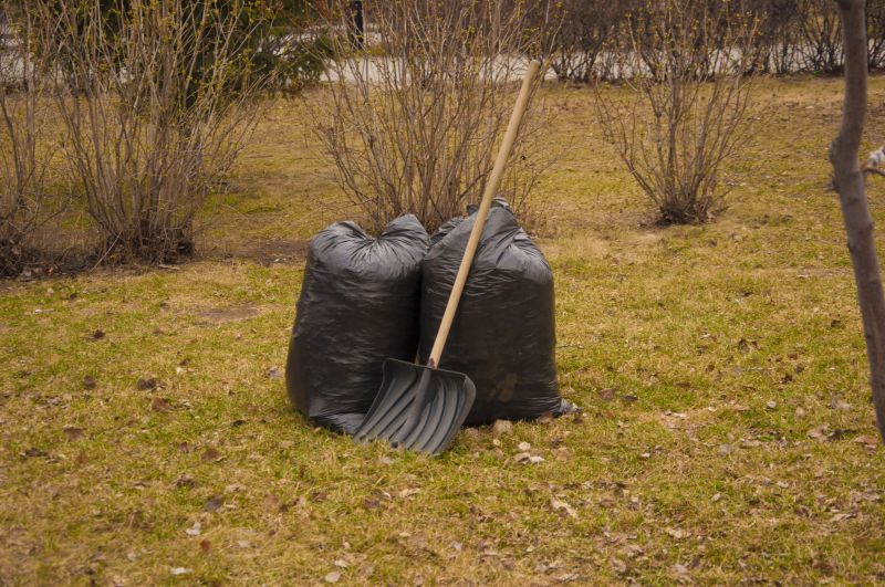 Yard Service Clean Up