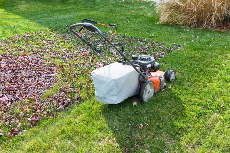 Seasonal Yard Prep