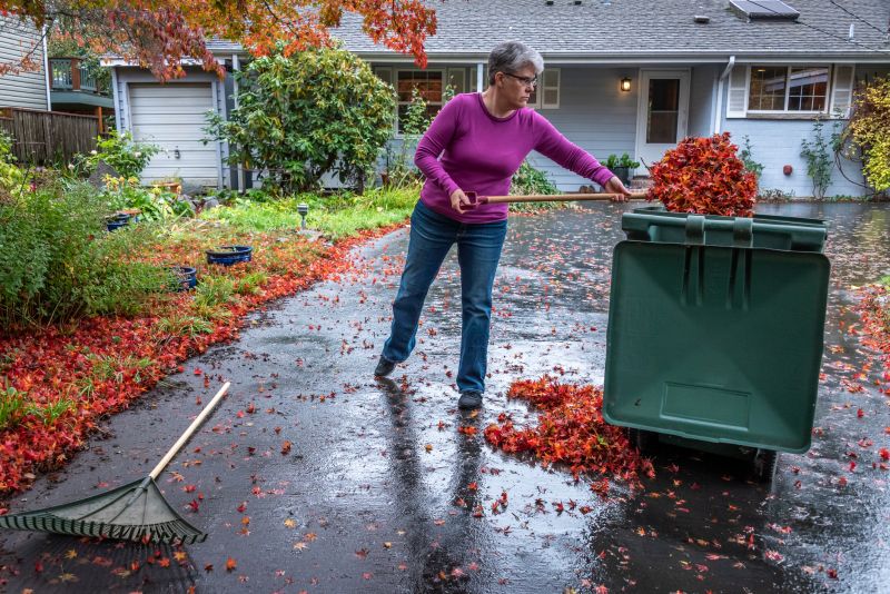 Autumn Yard Clean Up