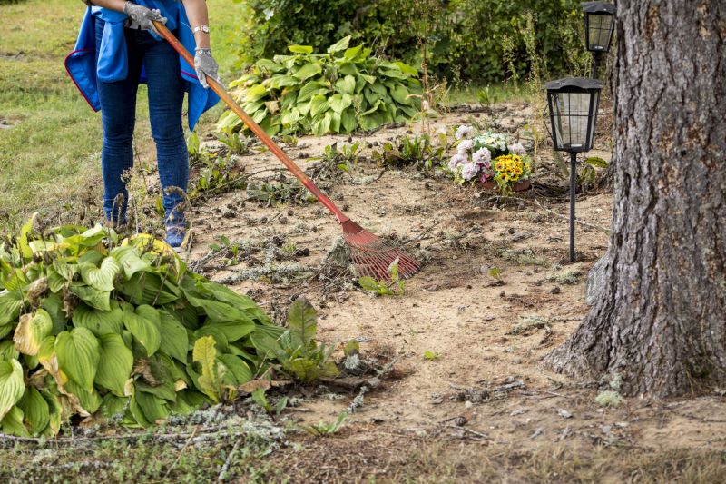 Yard Service Clean Up